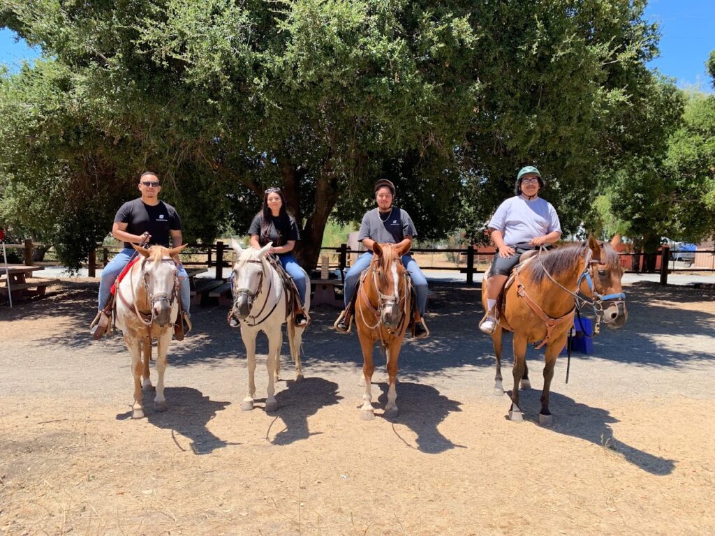 Group of kids riding a horse walking towards the camera