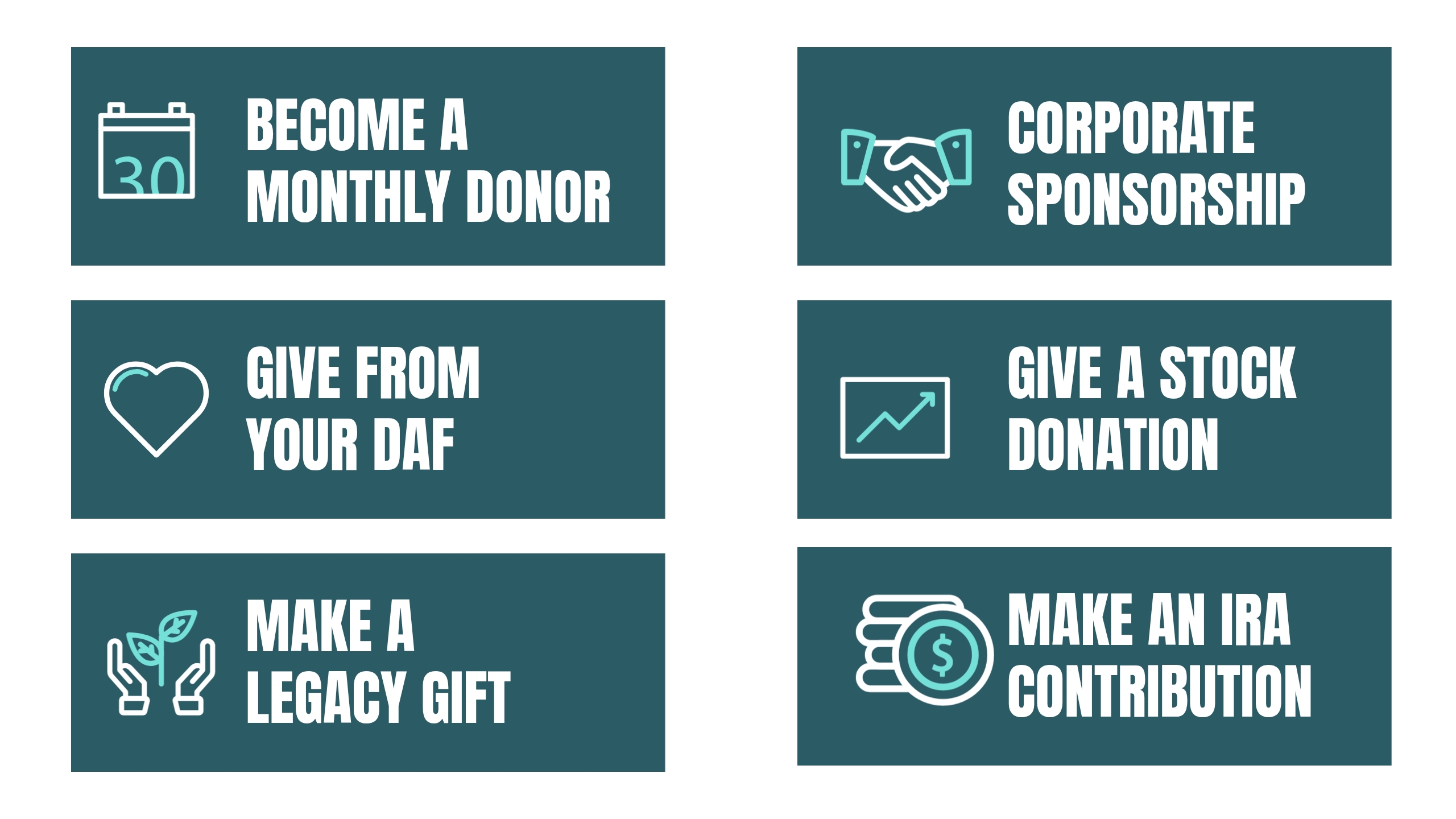 Ways to Give: Monthly Donor, Corporate Sponsorship, DAF, Stock Donation, Legacy Gift, IRA Contribution